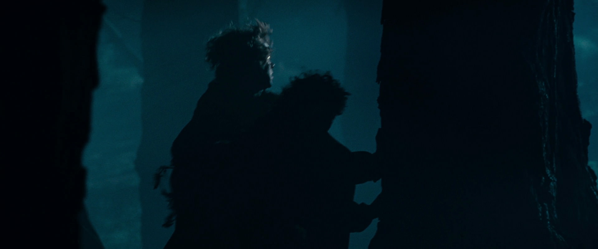 The Lord of the Rings: The Fellowship of the Ring (2001) screencap 6402