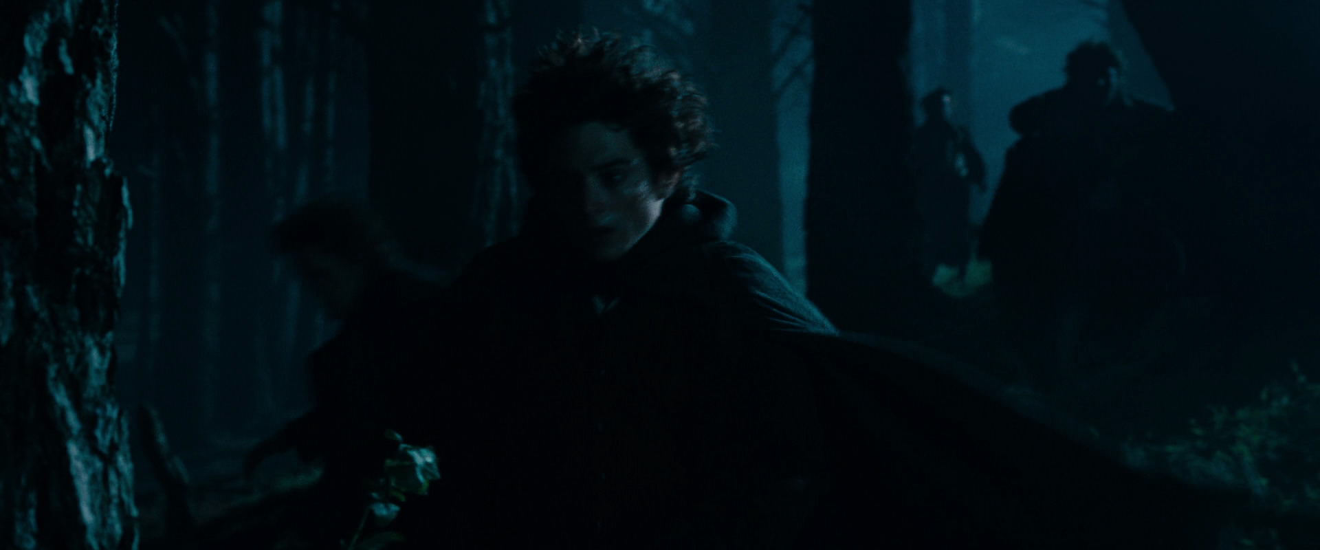 The Lord of the Rings: The Fellowship of the Ring (2001) screencap 6408