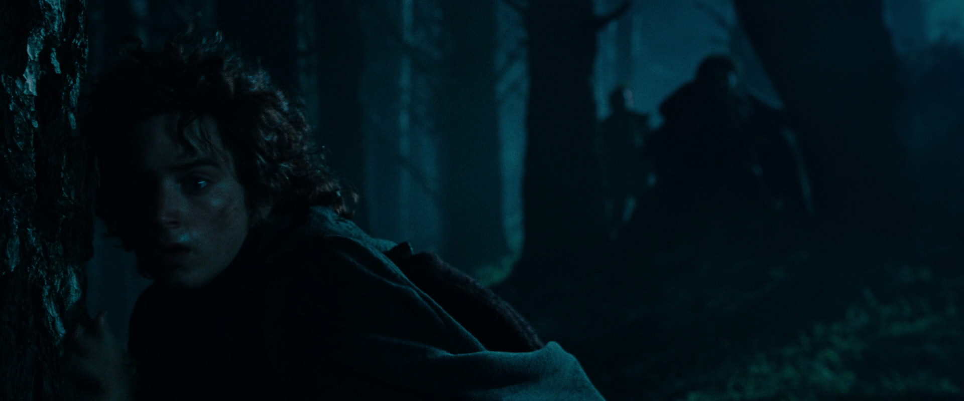 The Lord of the Rings: The Fellowship of the Ring (2001) HD screenshot 6410