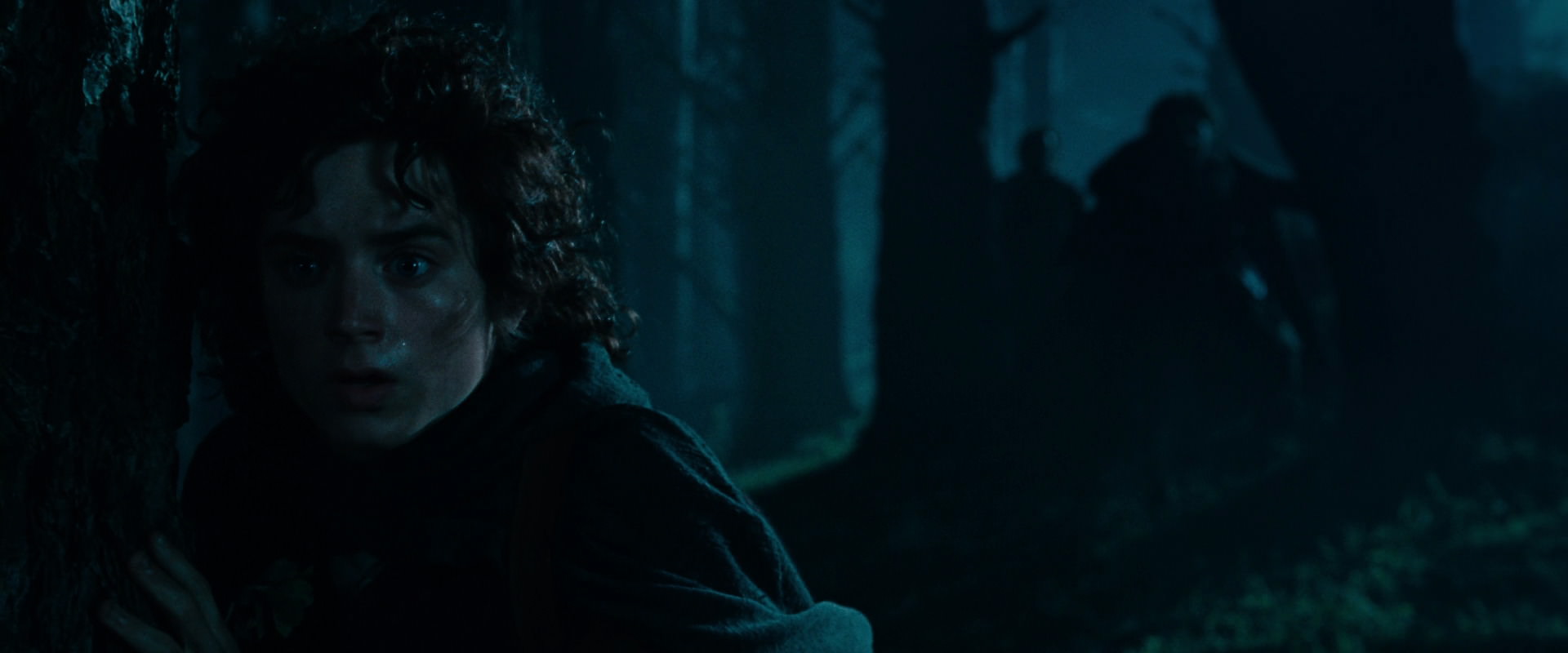 The Lord of the Rings: The Fellowship of the Ring (2001) screencap 6411