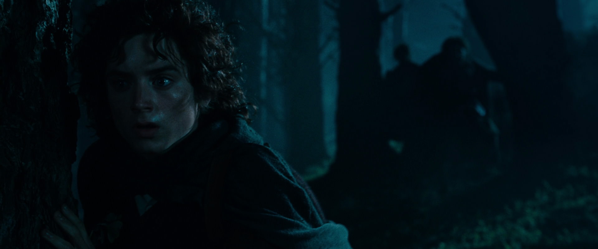 The Lord of the Rings: The Fellowship of the Ring (2001) movie still 6412