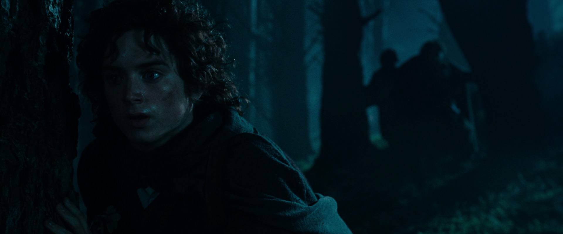 The Lord of the Rings: The Fellowship of the Ring (2001) HD screenshot 6413