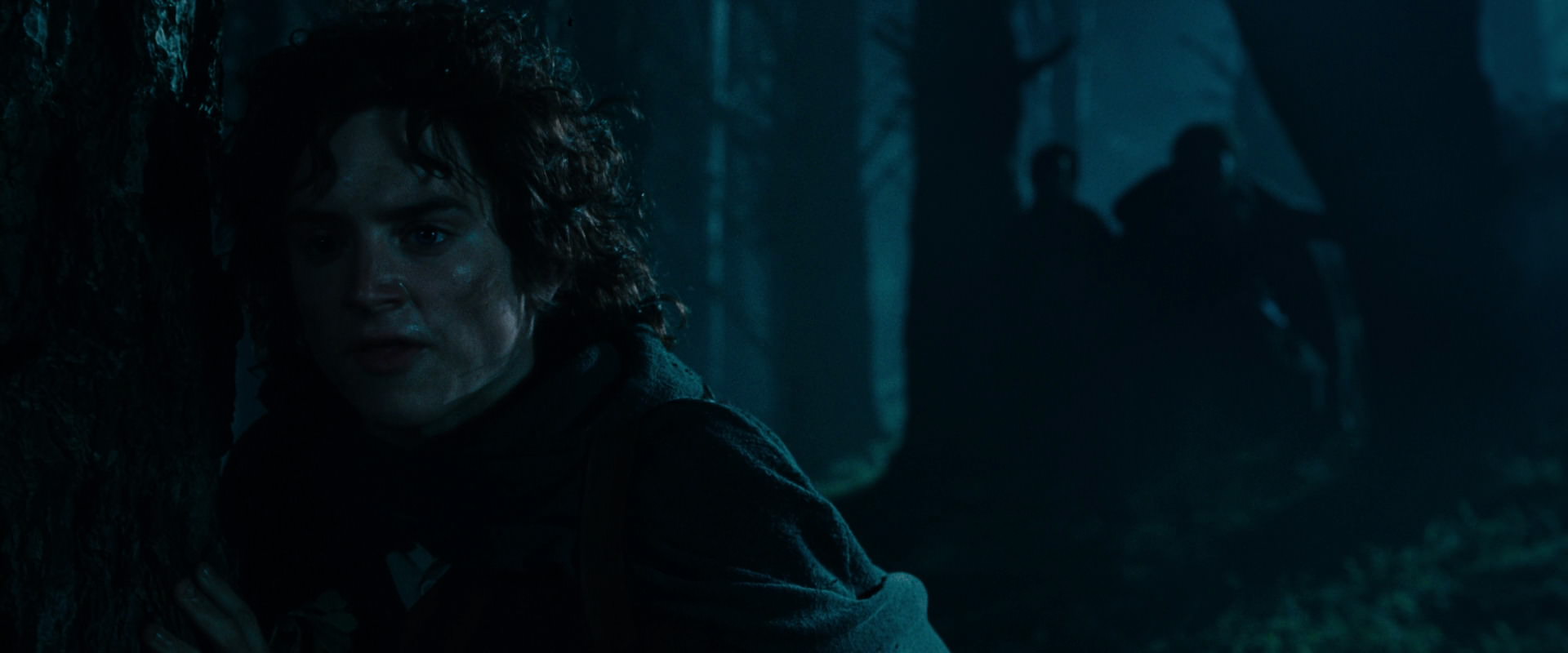 The Lord of the Rings: The Fellowship of the Ring (2001) screencap 6414