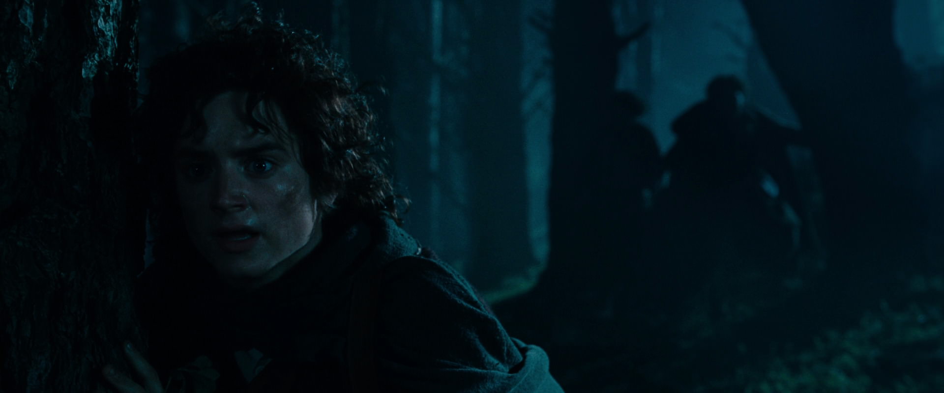 The Lord of the Rings: The Fellowship of the Ring (2001) movie still 6415