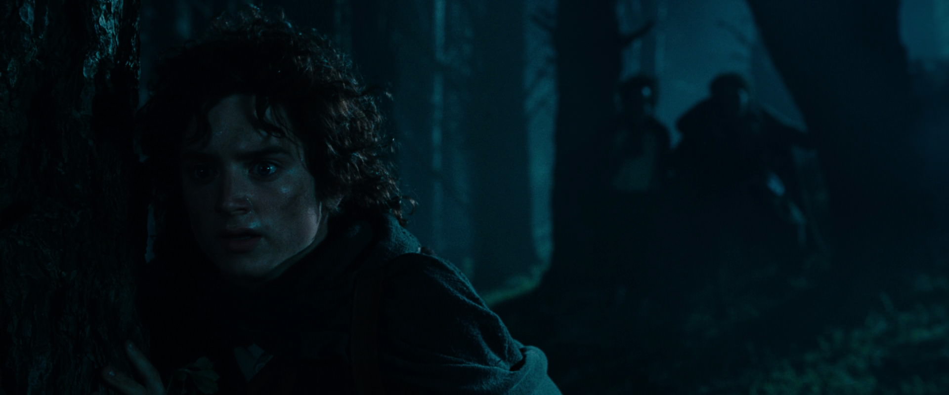 The Lord of the Rings: The Fellowship of the Ring (2001) HD screenshot 6416