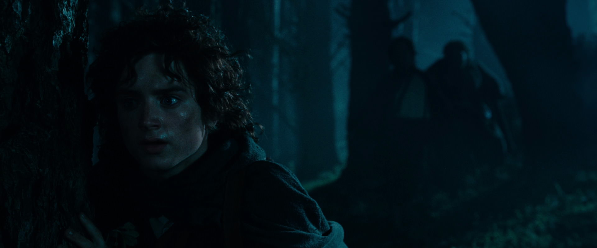 The Lord of the Rings: The Fellowship of the Ring (2001) screencap 6417