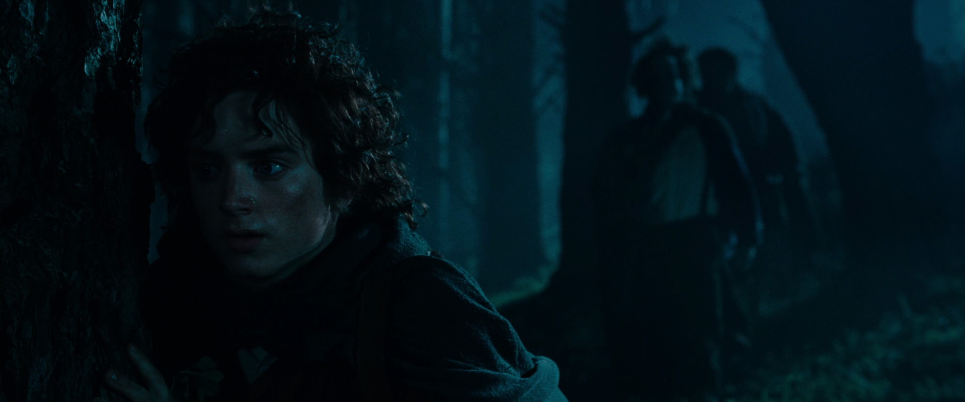 The Lord of the Rings: The Fellowship of the Ring (2001) HD screenshot 6419