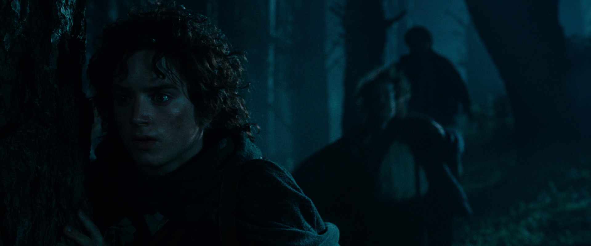The Lord of the Rings: The Fellowship of the Ring (2001) screencap 6420