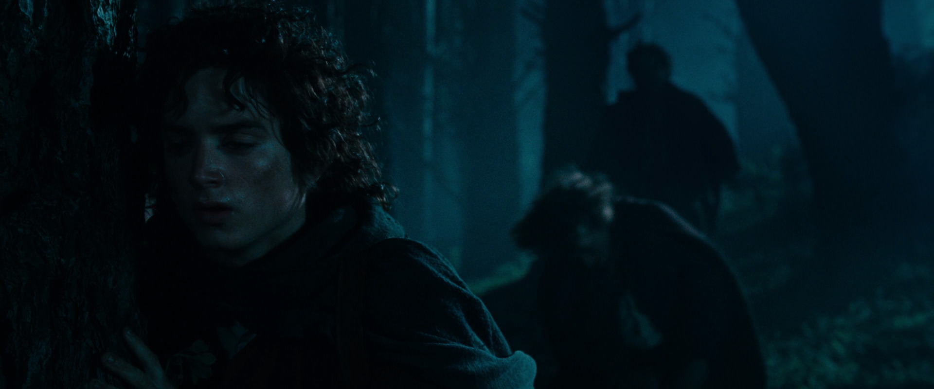 The Lord of the Rings: The Fellowship of the Ring (2001) movie still 6421
