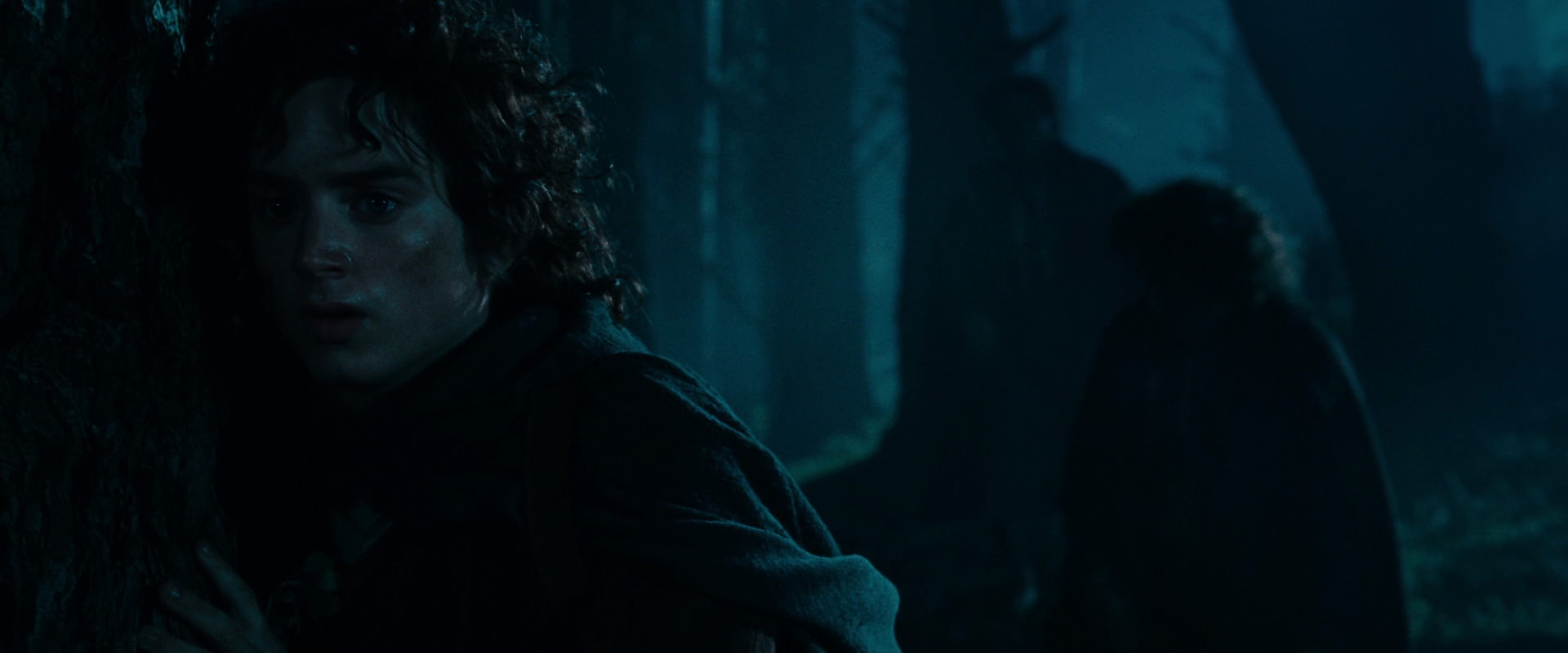 The Lord of the Rings: The Fellowship of the Ring (2001) HD screenshot 6422