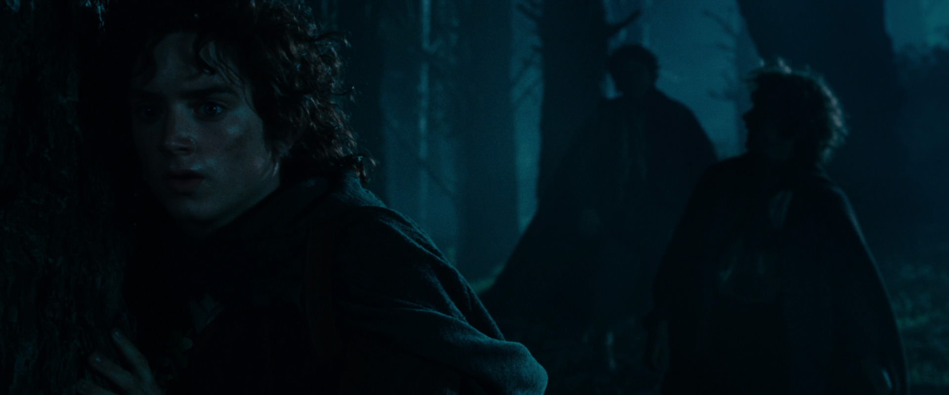 The Lord of the Rings: The Fellowship of the Ring (2001) screencap 6423