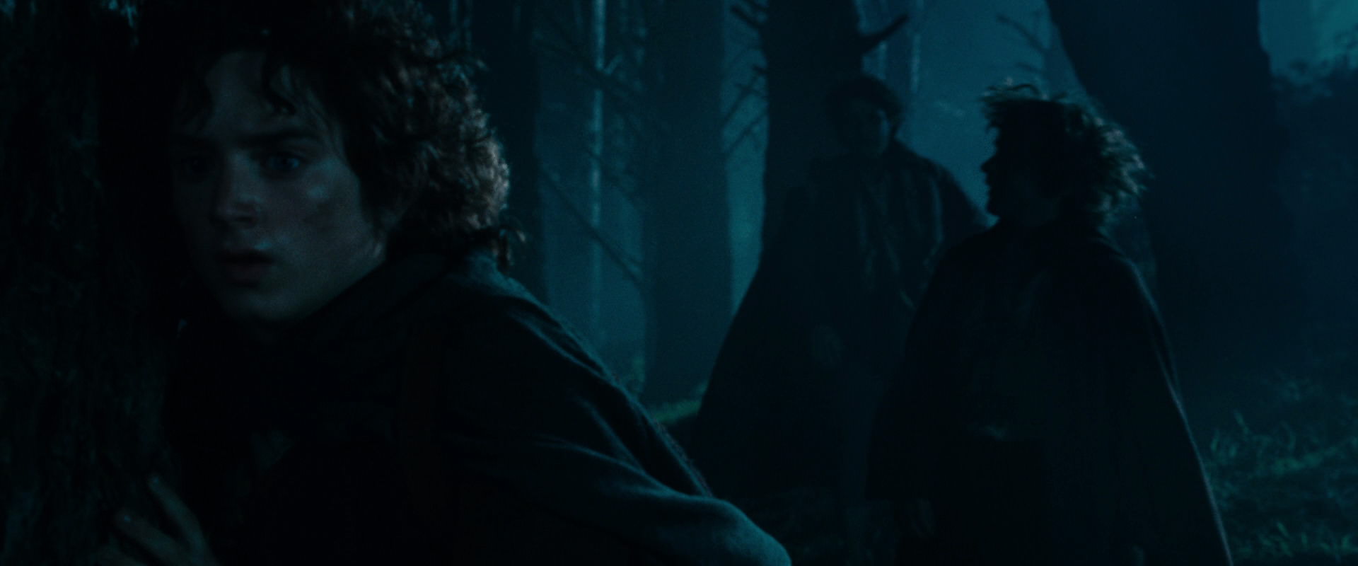 The Lord of the Rings: The Fellowship of the Ring (2001) movie still 6424