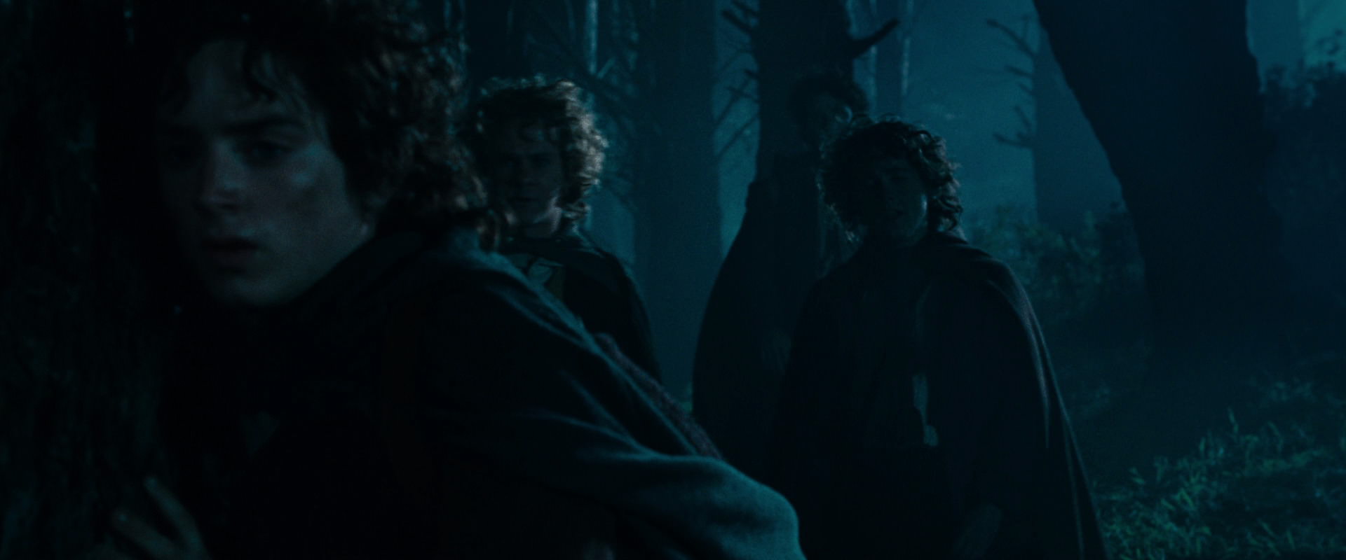 The Lord of the Rings: The Fellowship of the Ring (2001) HD screenshot 6425