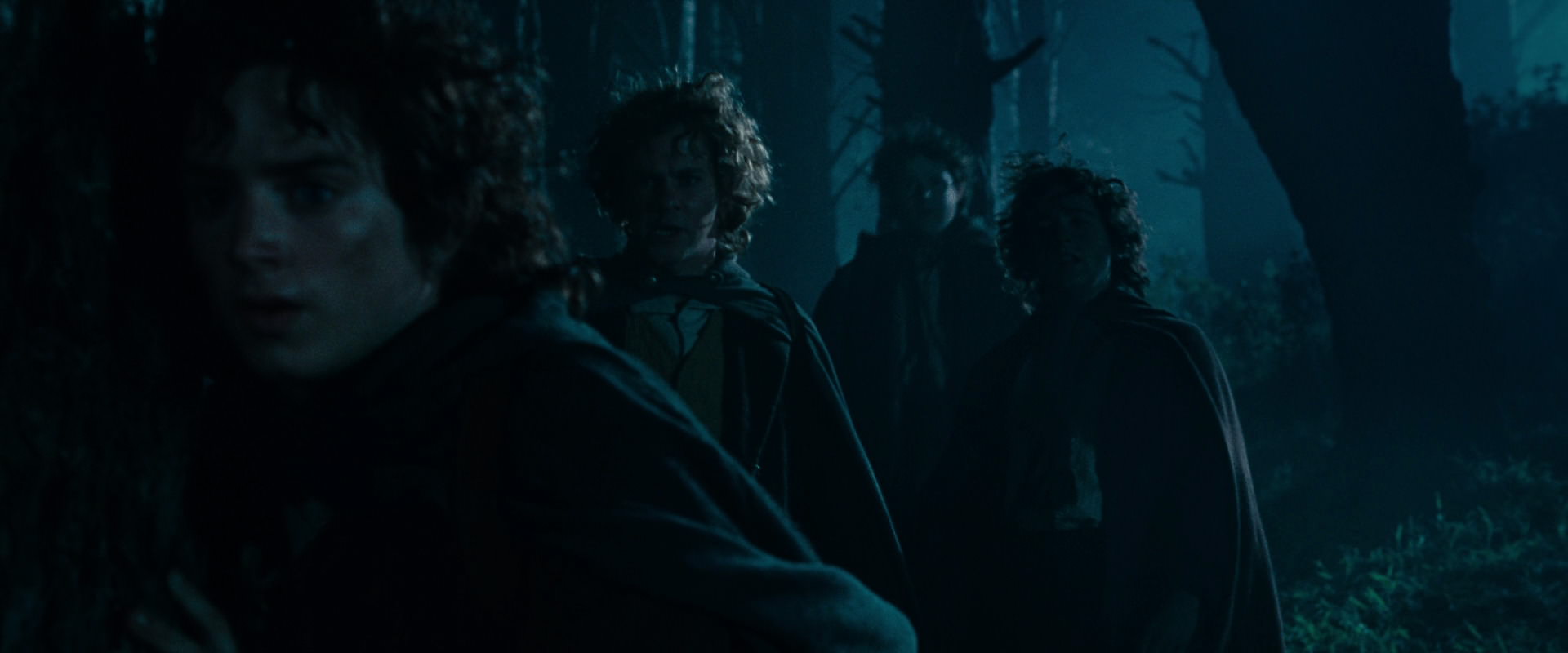 The Lord of the Rings: The Fellowship of the Ring (2001) screencap 6426