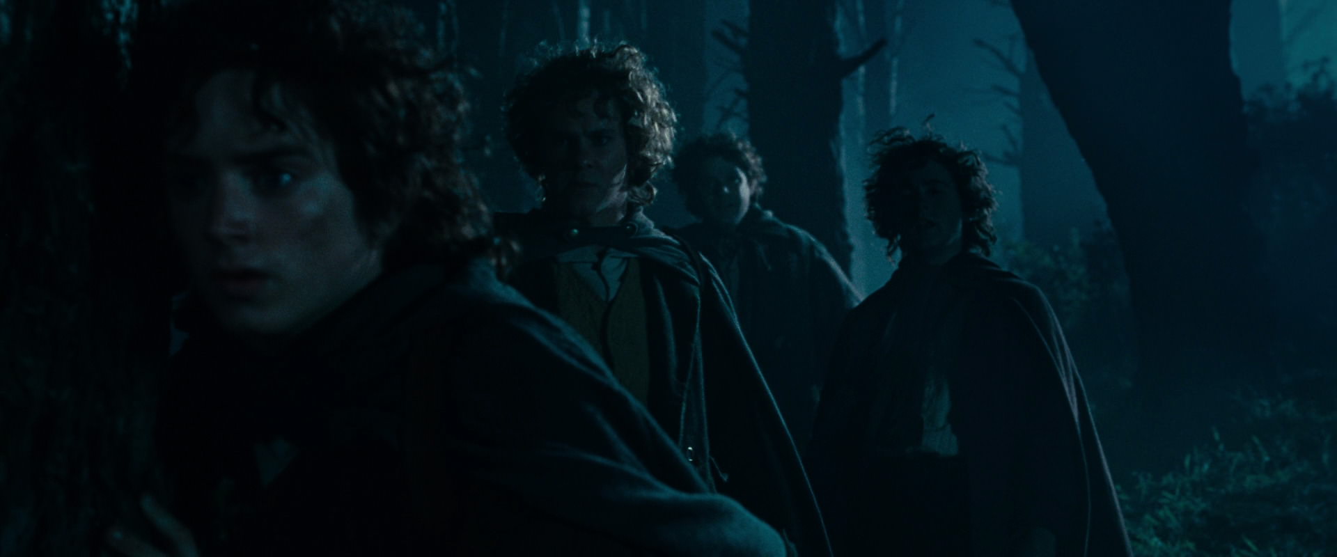 The Lord of the Rings: The Fellowship of the Ring (2001) movie still 6427