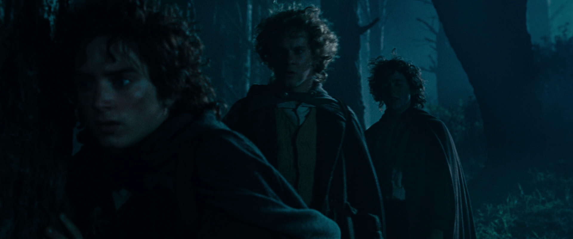The Lord of the Rings: The Fellowship of the Ring (2001) HD screenshot 6428