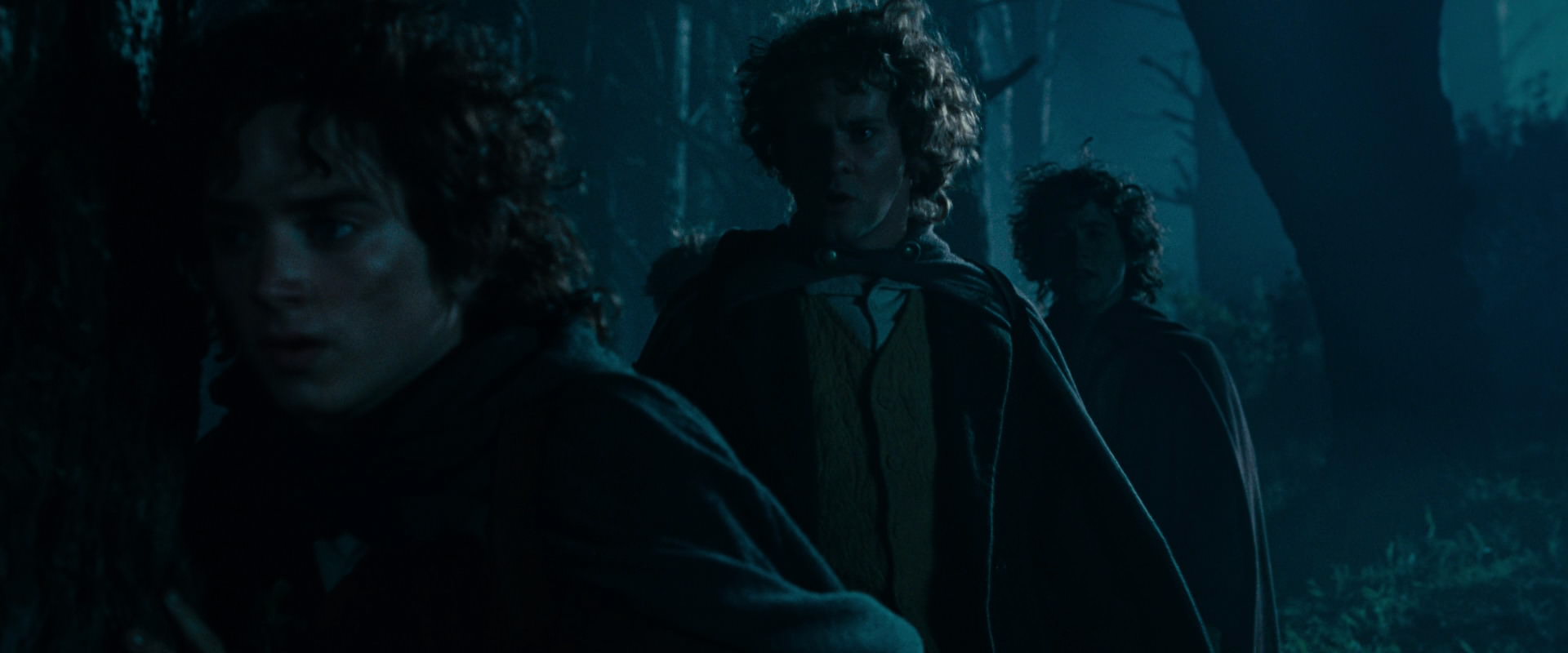 The Lord of the Rings: The Fellowship of the Ring (2001) screencap 6429