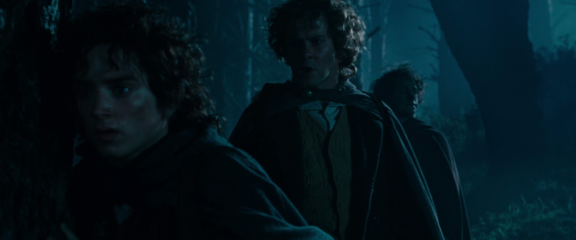 The Lord of the Rings: The Fellowship of the Ring (2001) movie still 6430