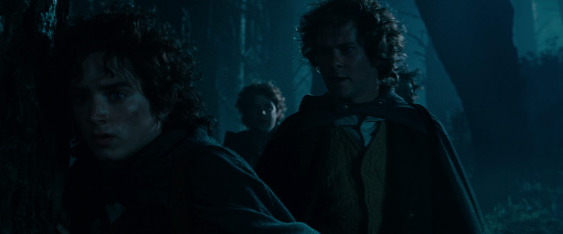 The Lord of the Rings: The Fellowship of the Ring (2001) HD screenshot 6431