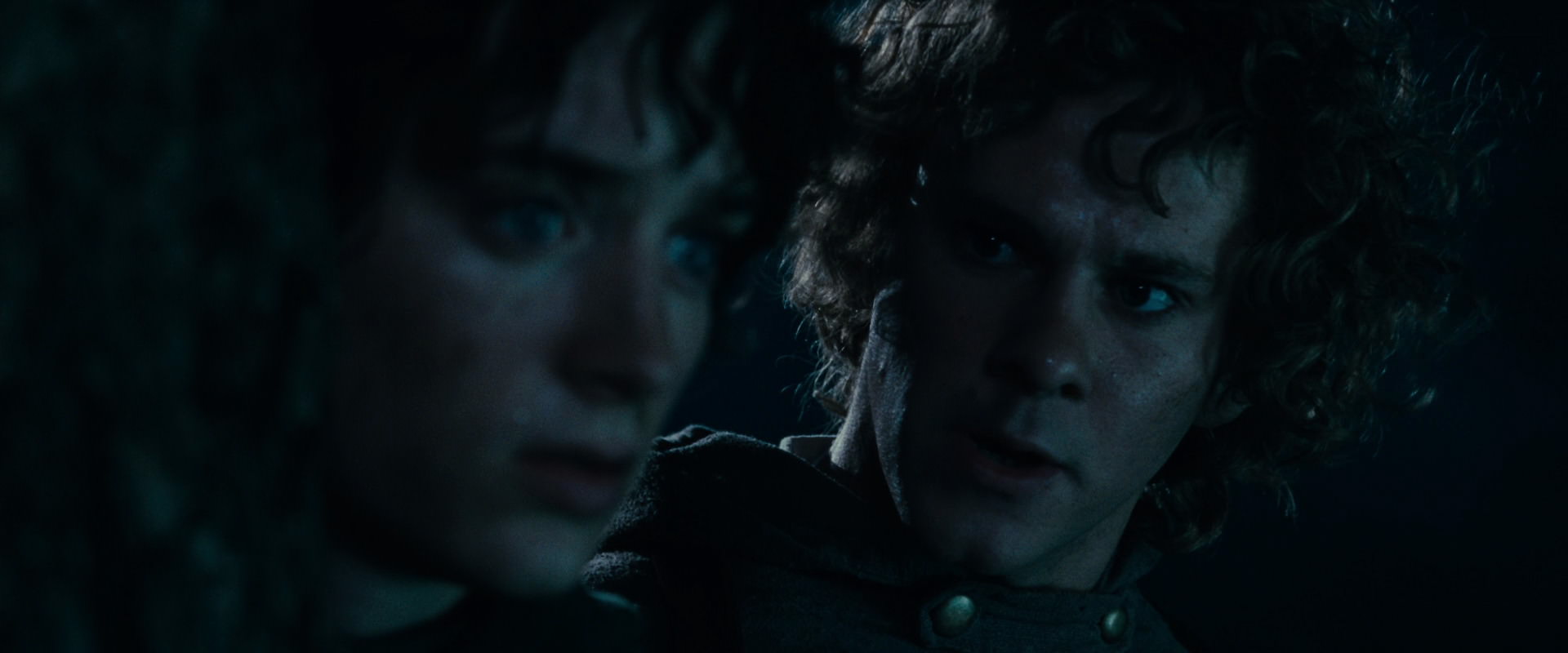 The Lord of the Rings: The Fellowship of the Ring (2001) screencap 6435