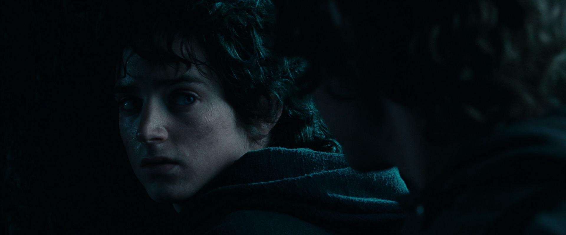 The Lord of the Rings: The Fellowship of the Ring (2001) screencap 6438
