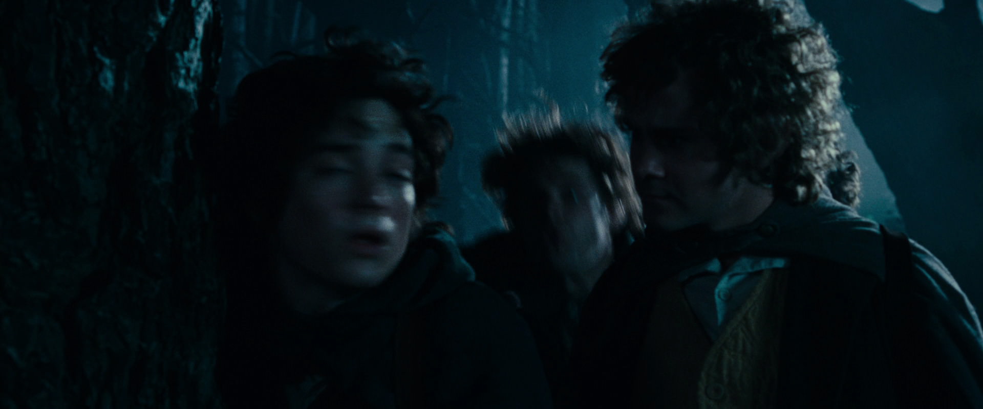 The Lord of the Rings: The Fellowship of the Ring (2001) movie still 6439