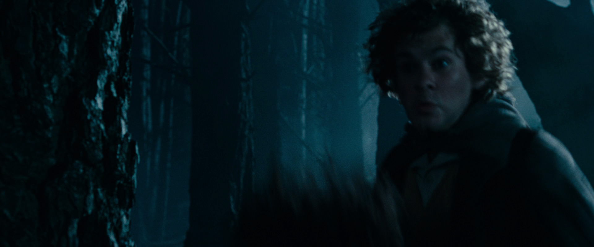 The Lord of the Rings: The Fellowship of the Ring (2001) HD screenshot 6440