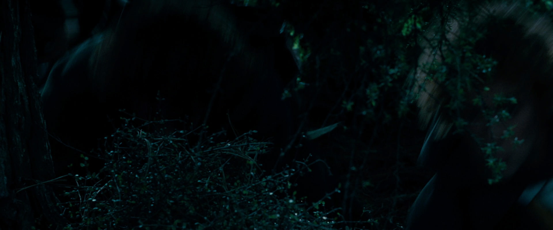 The Lord of the Rings: The Fellowship of the Ring (2001) screencap 6441