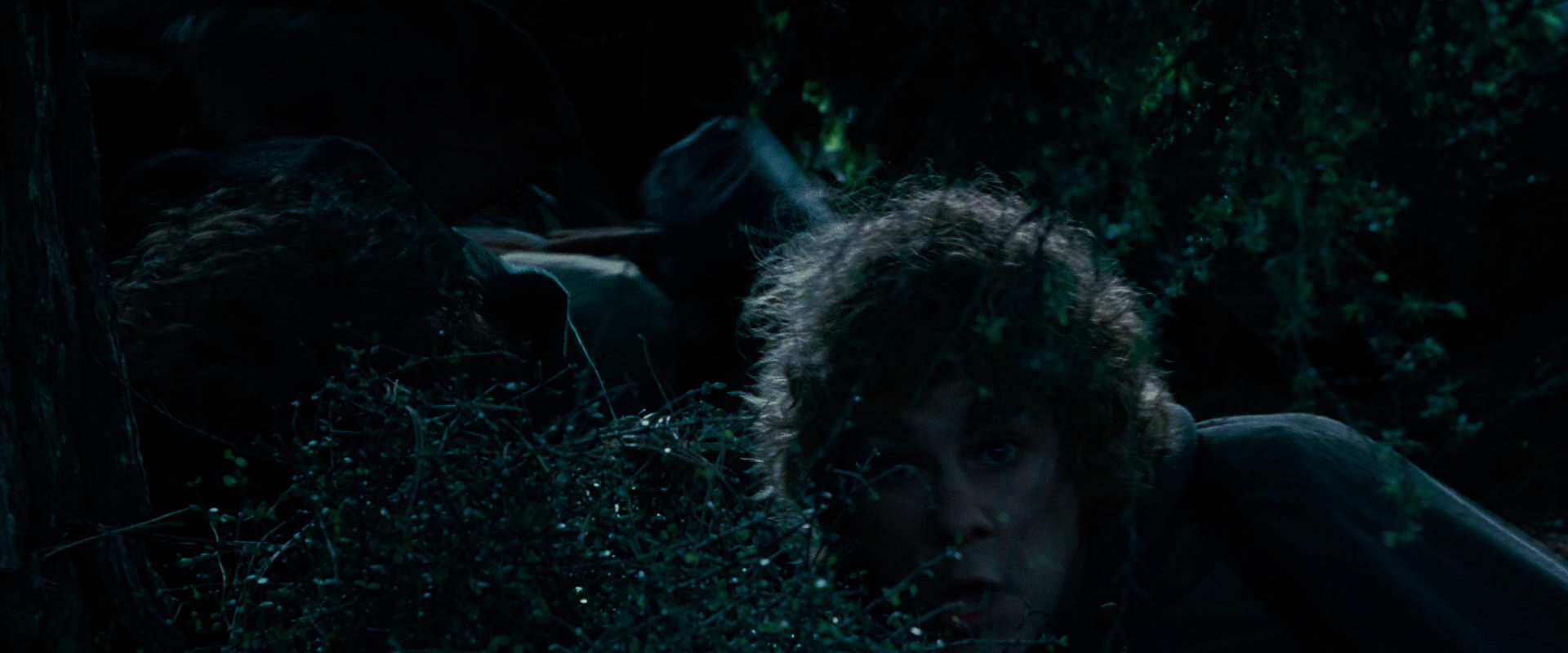 The Lord of the Rings: The Fellowship of the Ring (2001) movie still 6442