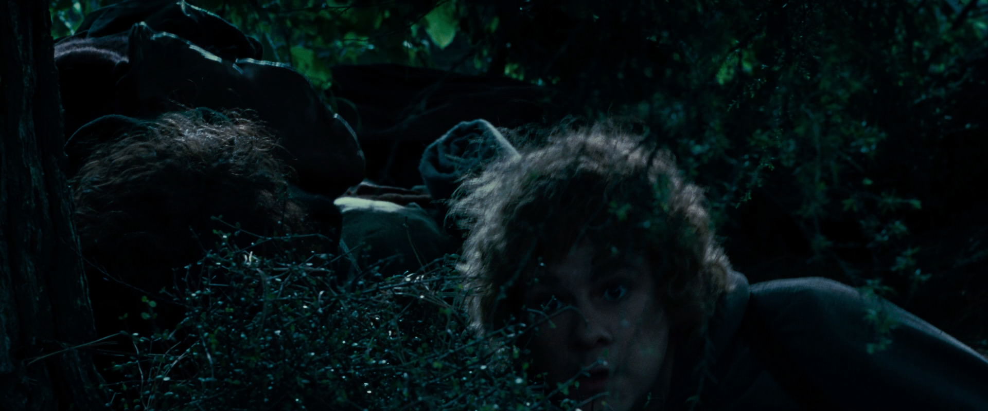 The Lord of the Rings: The Fellowship of the Ring (2001) HD screenshot 6443