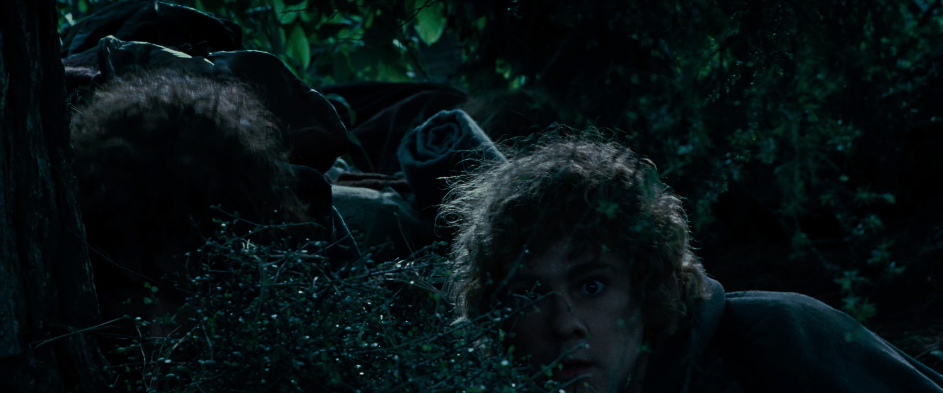 The Lord of the Rings: The Fellowship of the Ring (2001) screencap 6444