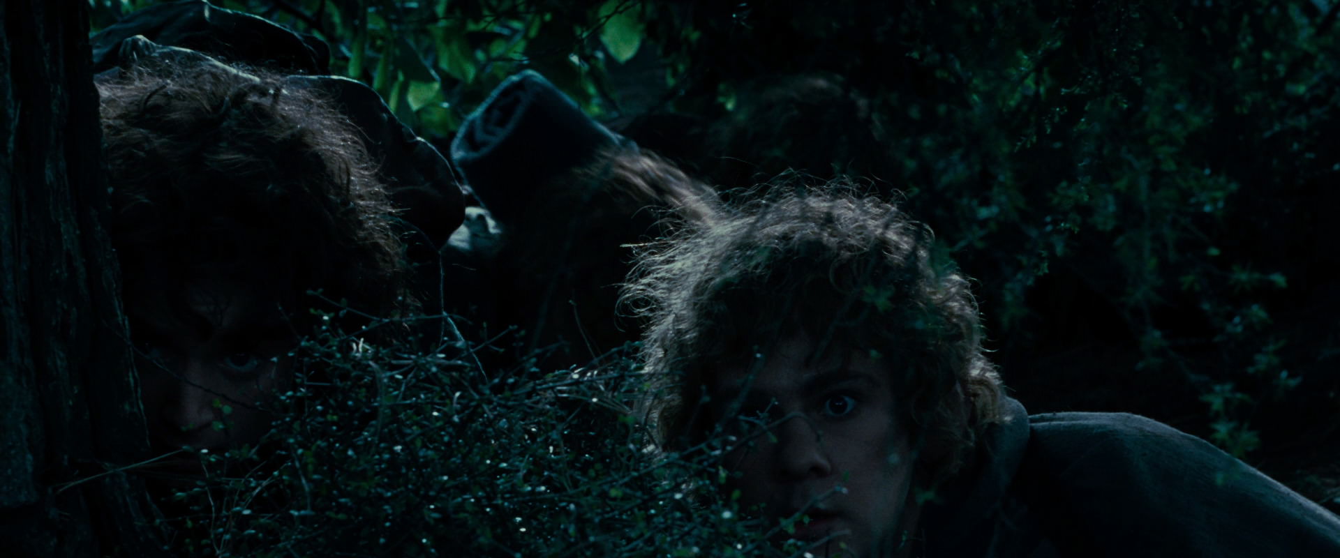 The Lord of the Rings: The Fellowship of the Ring (2001) movie still 6445