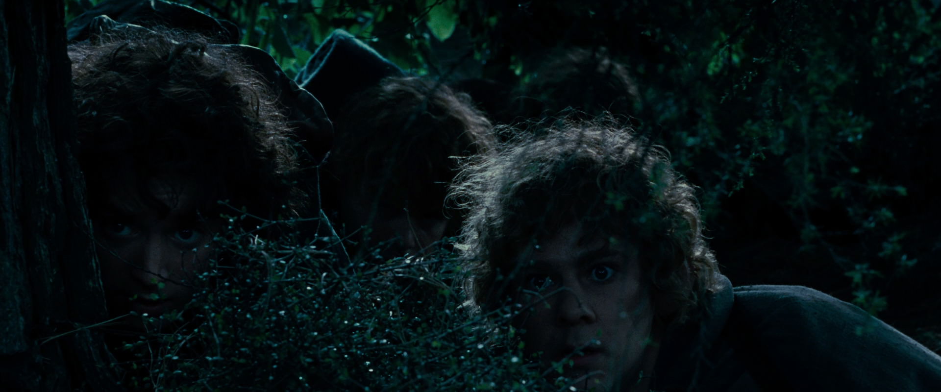 The Lord of the Rings: The Fellowship of the Ring (2001) HD screenshot 6446