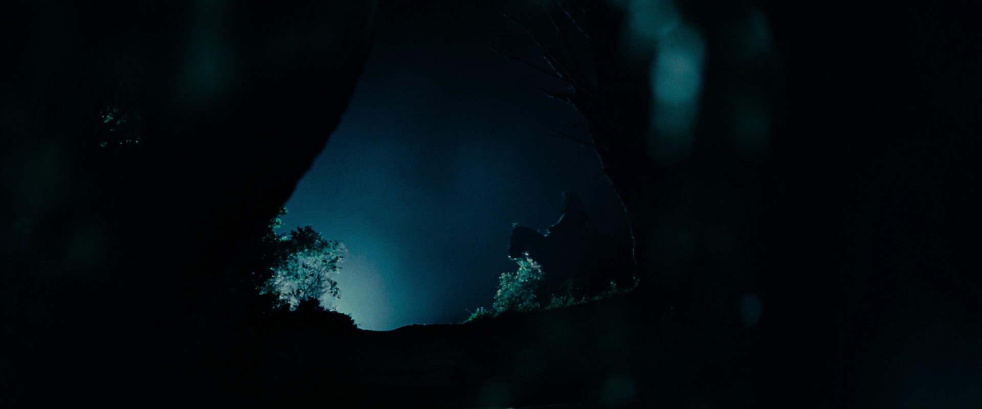 The Lord of the Rings: The Fellowship of the Ring (2001) screencap 6447