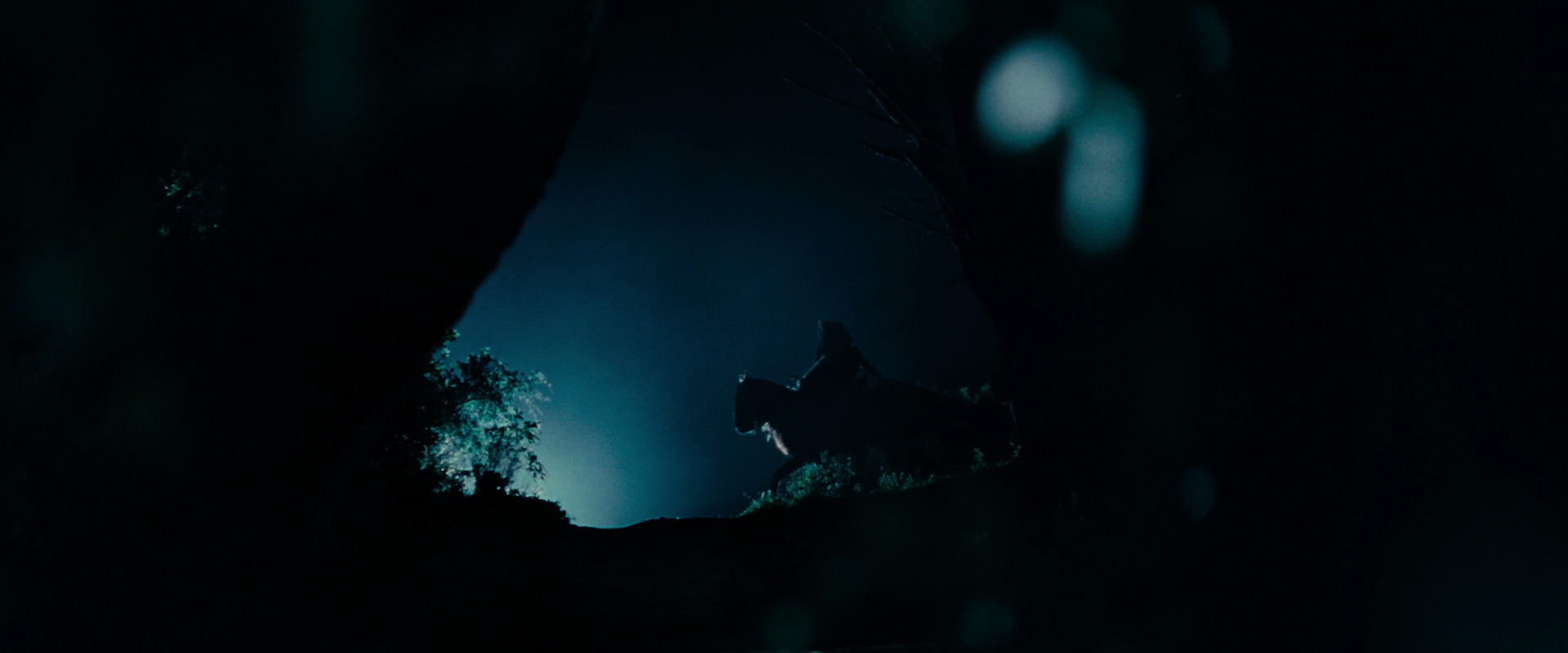 The Lord of the Rings: The Fellowship of the Ring (2001) HD screenshot 6449