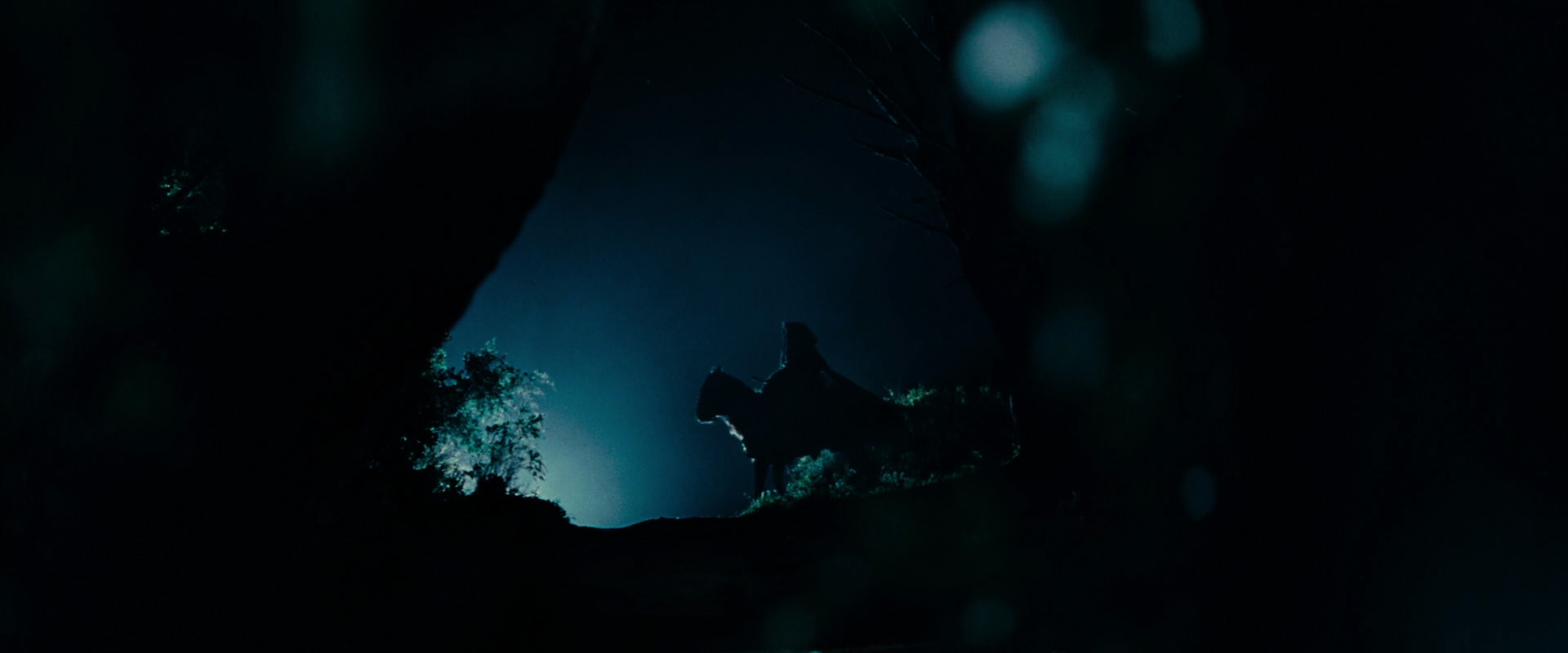 The Lord of the Rings: The Fellowship of the Ring (2001) screencap 6450