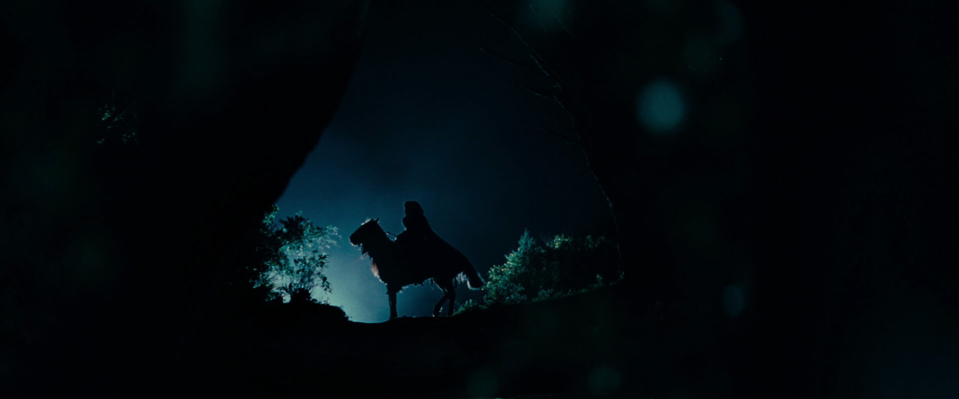 The Lord of the Rings: The Fellowship of the Ring (2001) screencap 6456