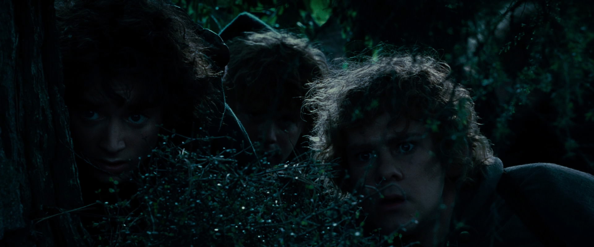 The Lord of the Rings: The Fellowship of the Ring (2001) movie still 6457