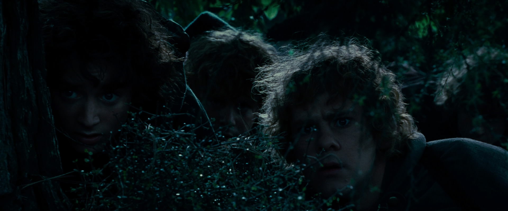 The Lord of the Rings: The Fellowship of the Ring (2001) HD screenshot 6458