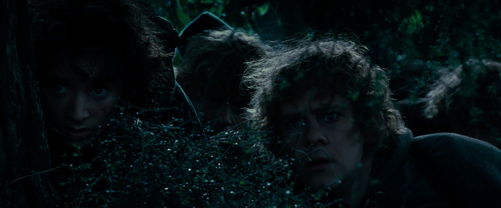 The Lord of the Rings: The Fellowship of the Ring (2001) screencap 6459