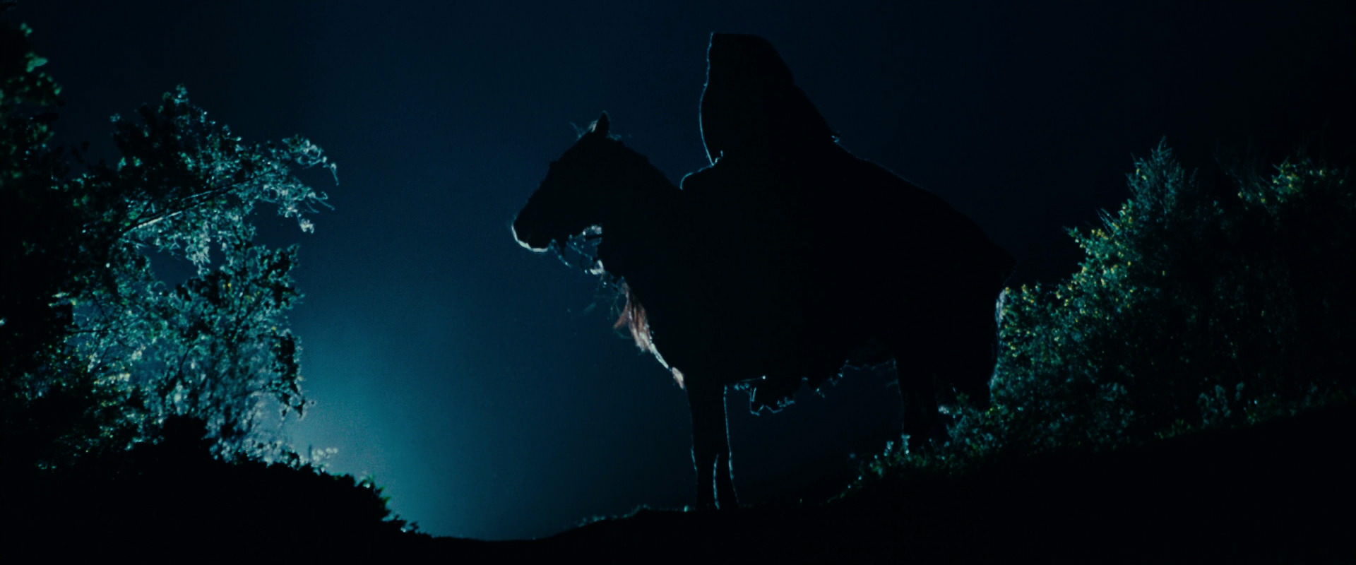 The Lord of the Rings: The Fellowship of the Ring (2001) movie still 6463