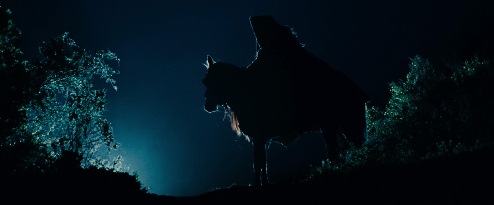 The Lord of the Rings: The Fellowship of the Ring (2001) HD screenshot 6464