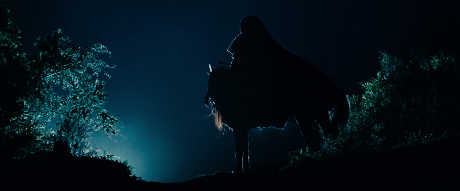 The Lord of the Rings: The Fellowship of the Ring (2001) screencap 6465