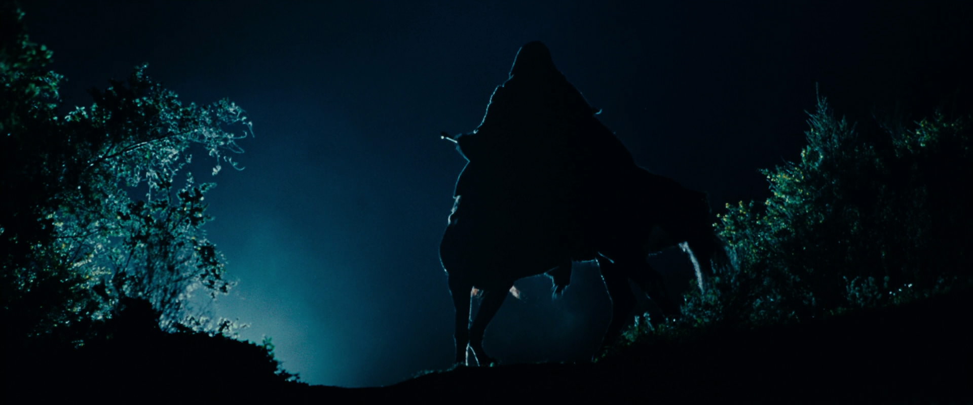 The Lord of the Rings: The Fellowship of the Ring (2001) screencap 6468