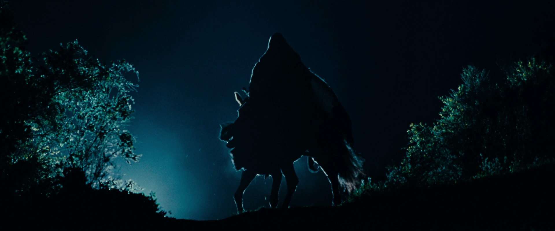 The Lord of the Rings: The Fellowship of the Ring (2001) HD screenshot 6470