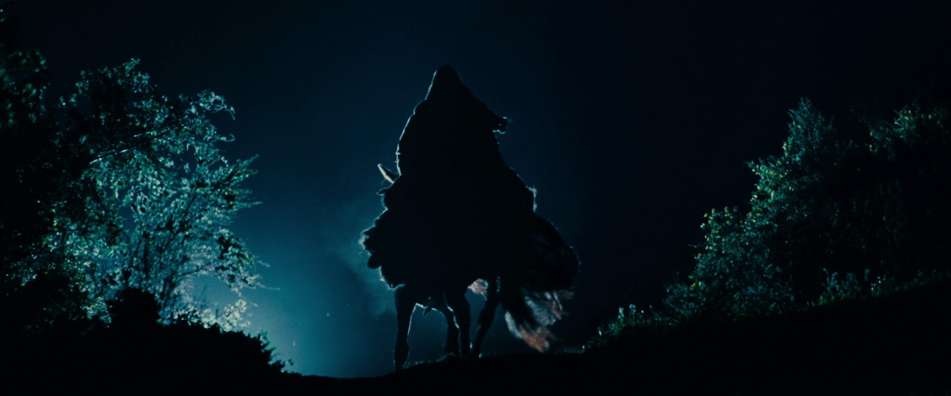The Lord of the Rings: The Fellowship of the Ring (2001) screencap 6471