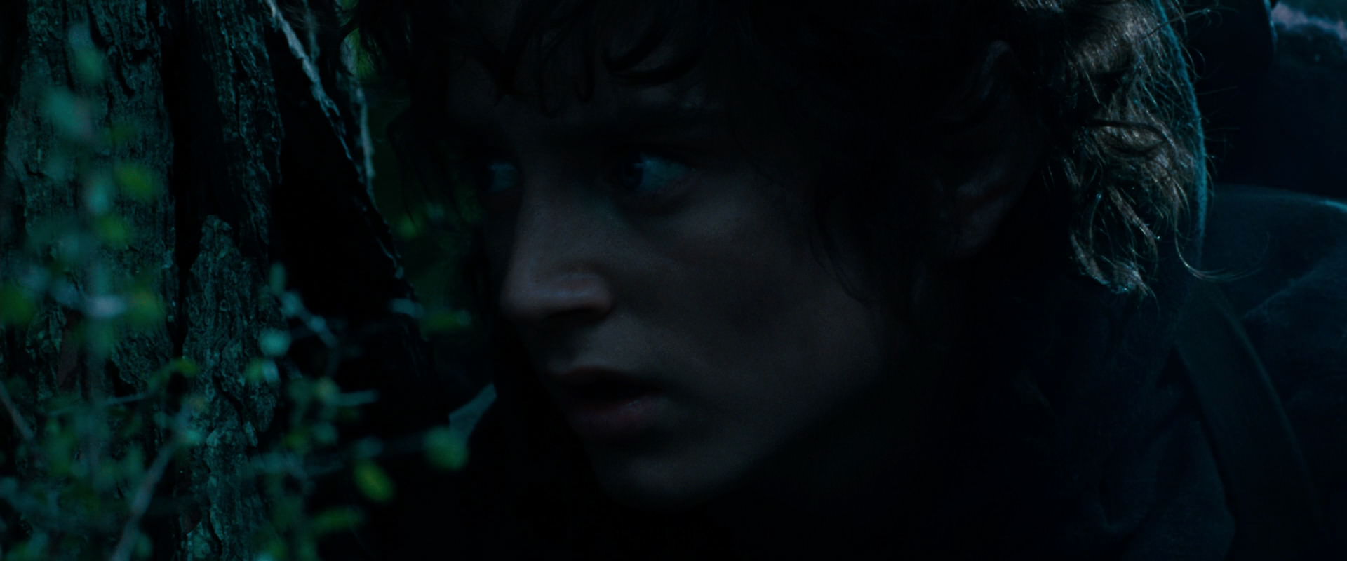 The Lord of the Rings: The Fellowship of the Ring (2001) screencap 6474