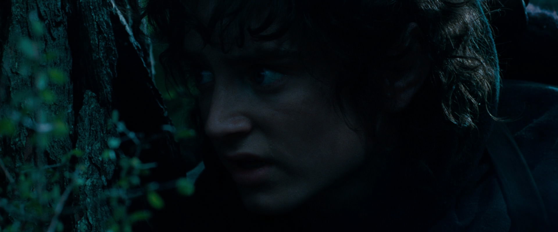 The Lord of the Rings: The Fellowship of the Ring (2001) movie still 6475