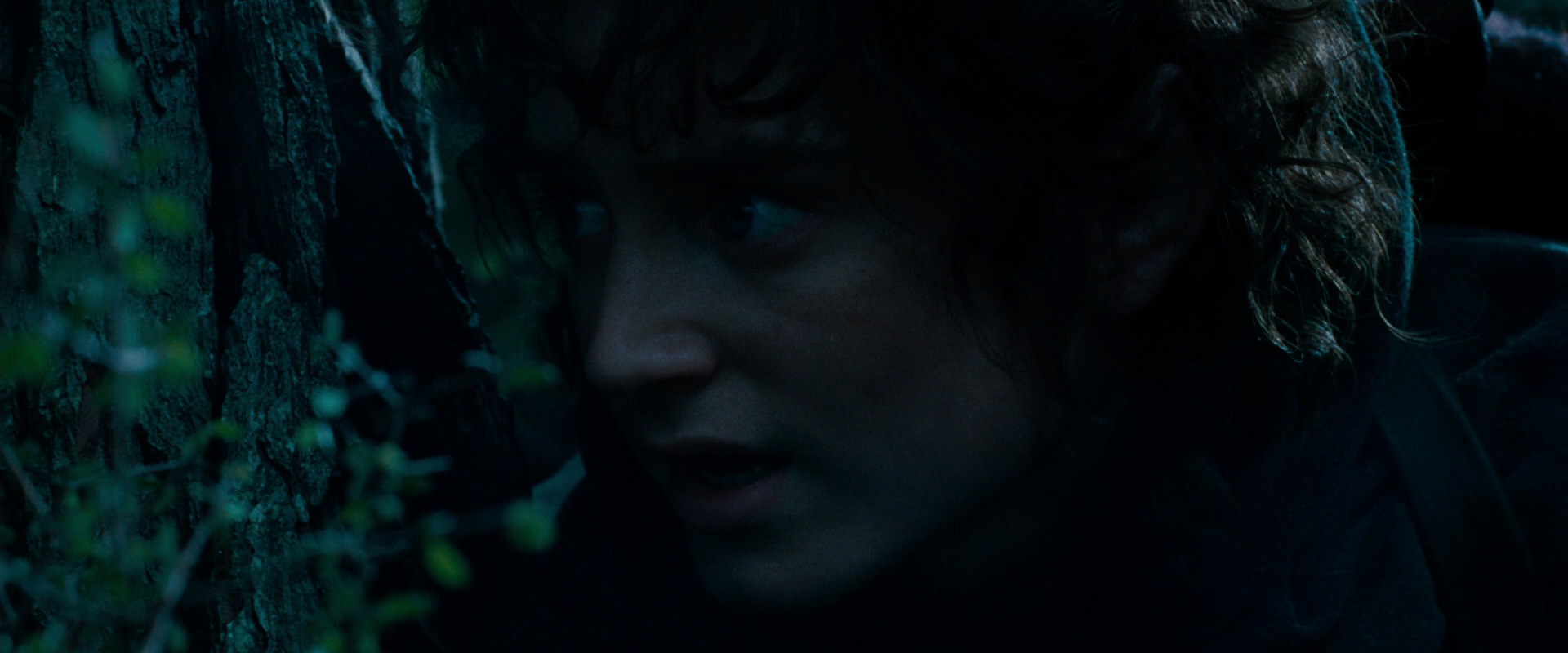 The Lord of the Rings: The Fellowship of the Ring (2001) HD screenshot 6476