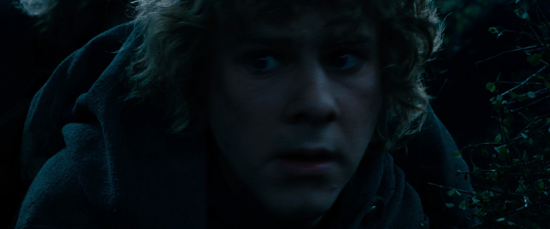 The Lord of the Rings: The Fellowship of the Ring (2001) screencap 6477